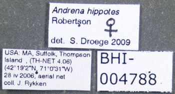 Media type: image;   Entomology 609514 Aspect: labels